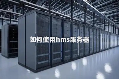 高效利用HMS服務(wù)器 數(shù)據(jù)處理與存儲(chǔ)支持全攻略
