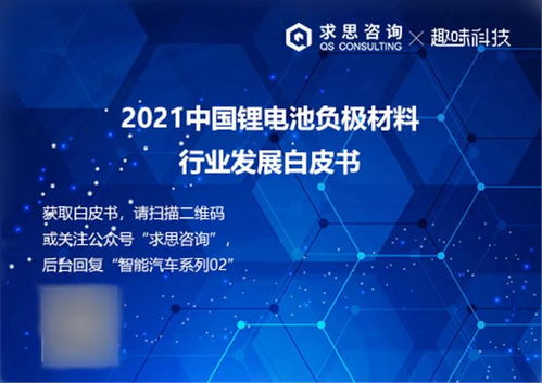 求思咨詢與趣味科技聯(lián)合發(fā)布《2024年鋰電池負極材料技術(shù)白皮書》 技術(shù)演進與產(chǎn)業(yè)變革深度解析